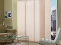 shjiq_Popular Panel blinds